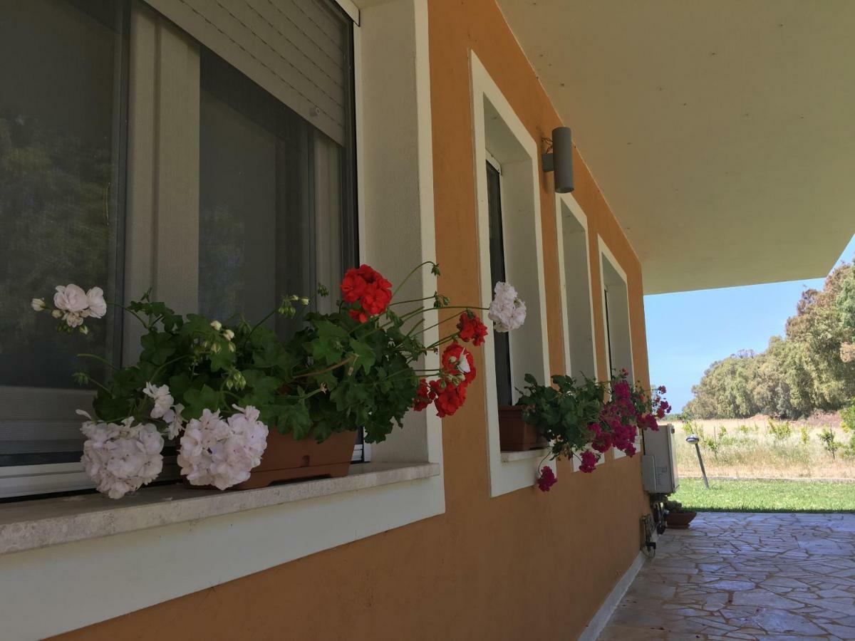 Villa Arzilla Sardegna Alguer Exterior foto